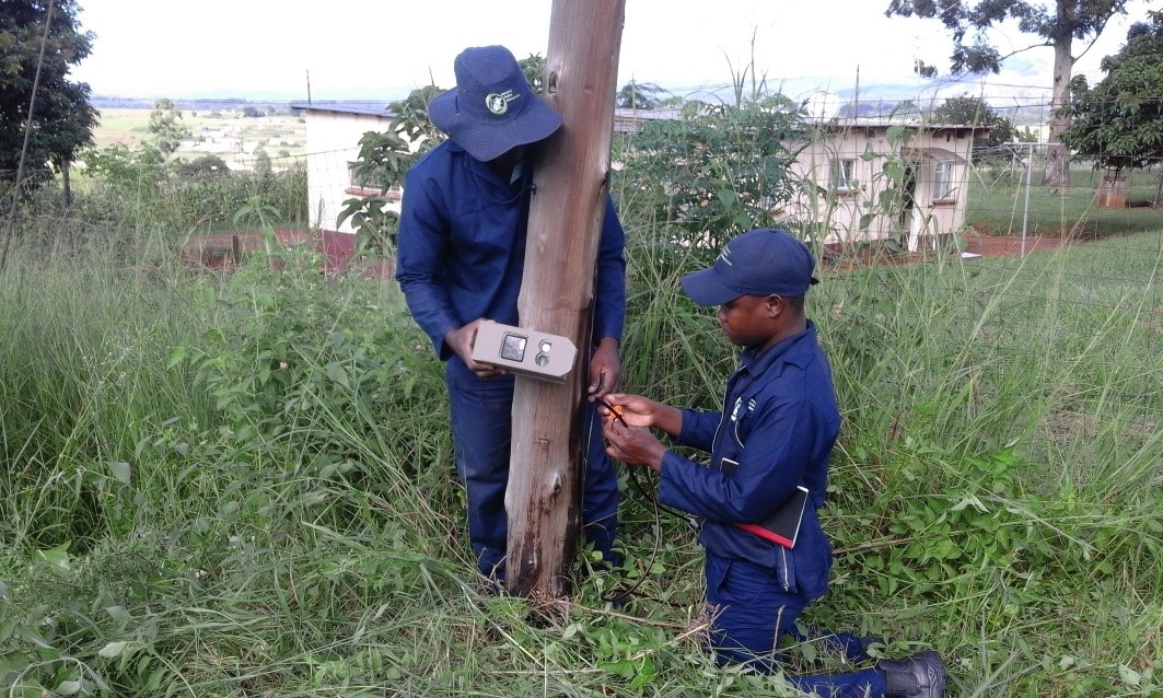 camera trap 1 eswatini